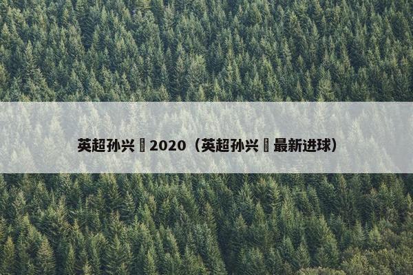 英超孙兴慜2020（英超孙兴慜最新进球）