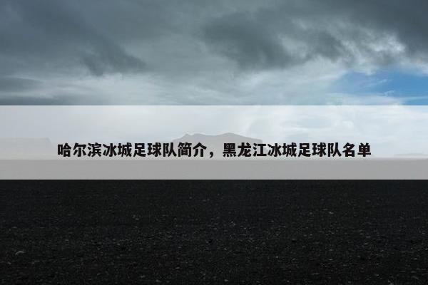 哈尔滨冰城足球队简介，黑龙江冰城足球队名单