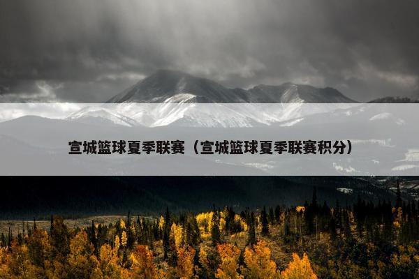 宣城篮球夏季联赛（宣城篮球夏季联赛积分）