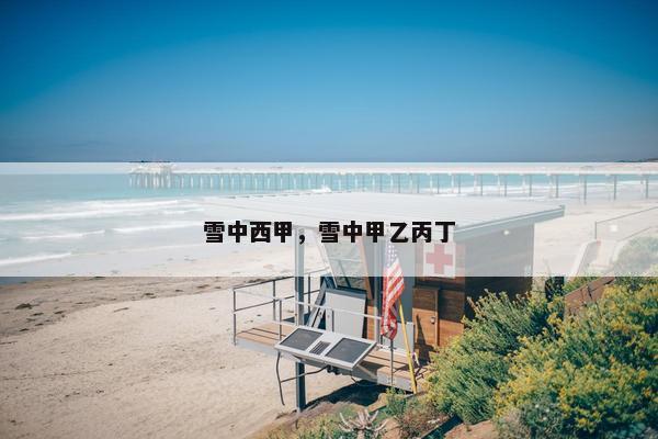 雪中西甲，雪中甲乙丙丁