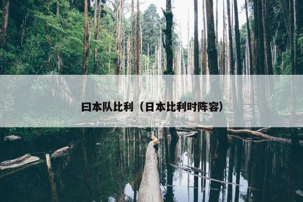 曰本队比利（日本比利时阵容）