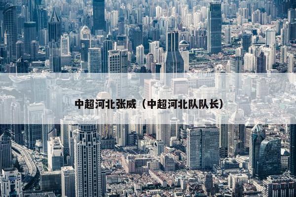 中超河北张威（中超河北队队长）