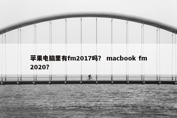 苹果电脑里有fm2017吗？ macbook fm2020？
