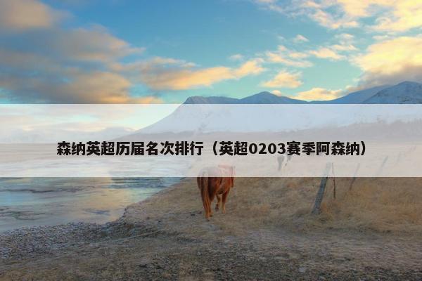 森纳英超历届名次排行（英超0203赛季阿森纳）
