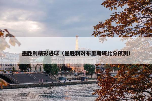 墨胜利精彩进球（墨胜利对布里斯班比分预测）