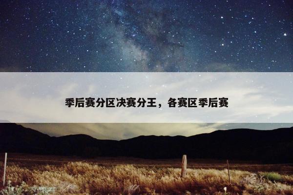 季后赛分区决赛分王，各赛区季后赛