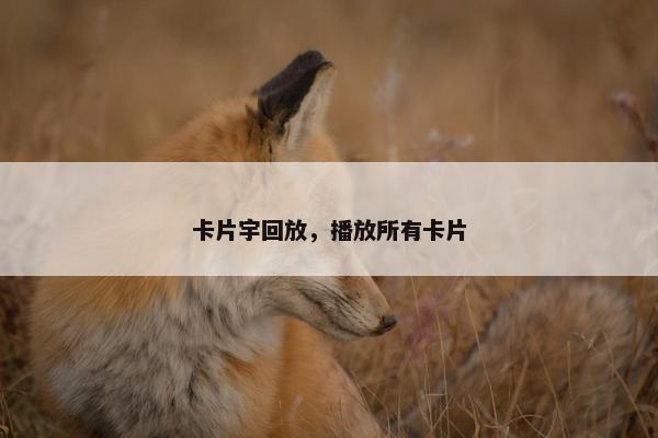 卡片宇回放，播放所有卡片