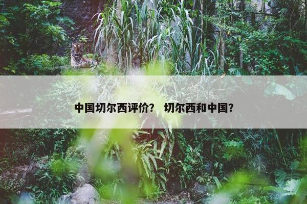中国切尔西评价？ 切尔西和中国？