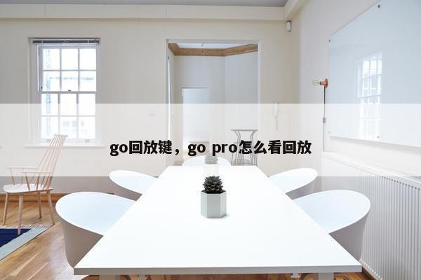 go回放键，go pro怎么看回放