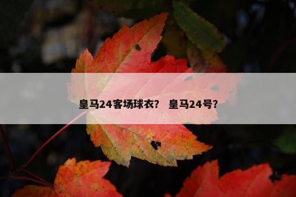 皇马24客场球衣？ 皇马24号？