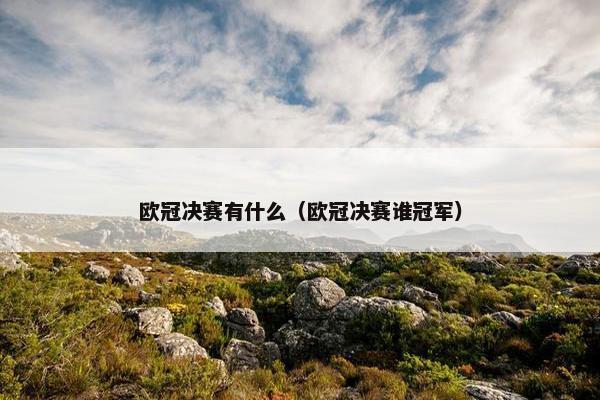 欧冠决赛有什么（欧冠决赛谁冠军）