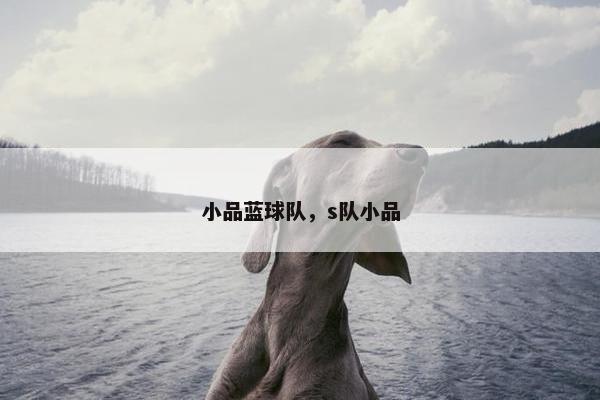 小品蓝球队，s队小品