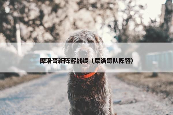 摩洛哥新阵容战绩（摩洛哥队阵容）