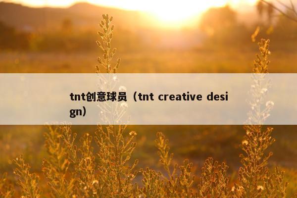 tnt创意球员（tnt creative design）