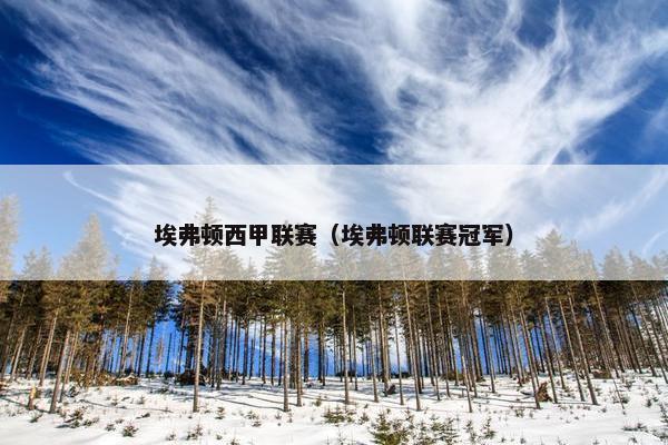 埃弗顿西甲联赛（埃弗顿联赛冠军）