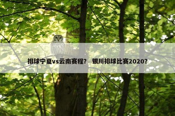排球宁夏vs云南赛程？ 银川排球比赛2020？