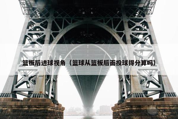篮板后进球视角（篮球从篮板后面投球得分算吗）