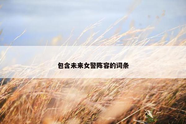 包含未来女警阵容的词条