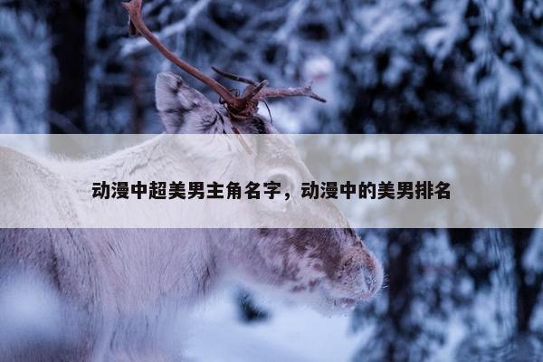 动漫中超美男主角名字，动漫中的美男排名