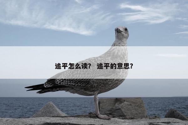 追平怎么读？ 追平的意思？