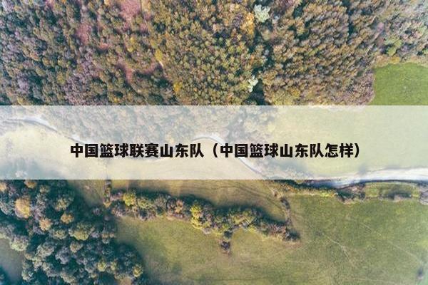 中国篮球联赛山东队（中国篮球山东队怎样）