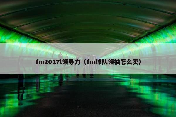 fm2017l领导力（fm球队领袖怎么卖）