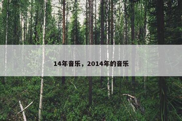 14年音乐，2014年的音乐