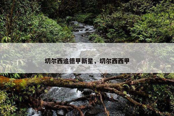 切尔西追德甲新星，切尔西西甲