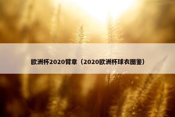 欧洲杯2020臂章（2020欧洲杯球衣图鉴）