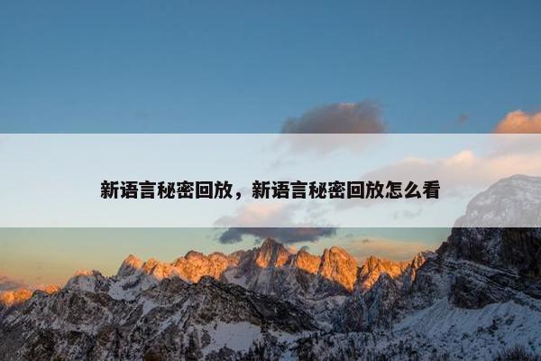 新语言秘密回放，新语言秘密回放怎么看