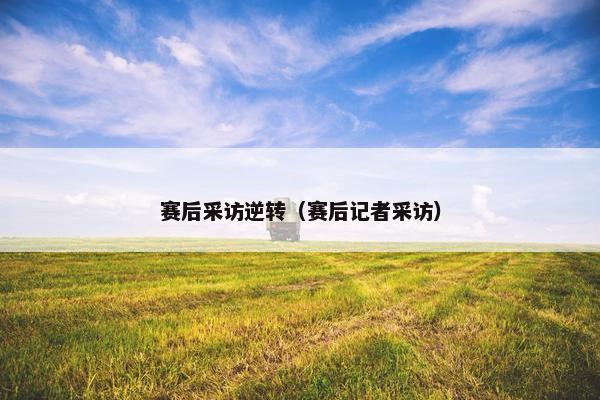 赛后采访逆转（赛后记者采访）