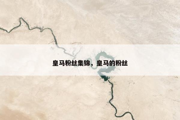 皇马粉丝集锦，皇马的粉丝