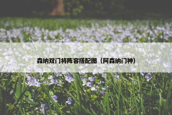 森纳双门将阵容搭配图（阿森纳门神）
