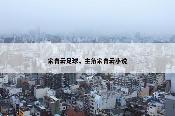 宋青云足球，主角宋青云小说