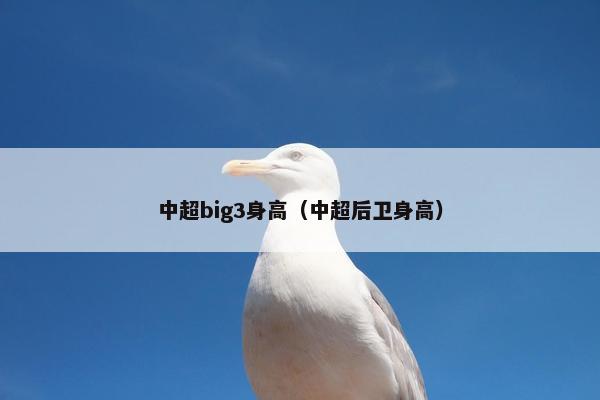 中超big3身高（中超后卫身高）