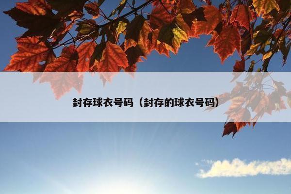 封存球衣号码（封存的球衣号码）