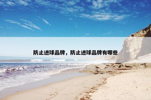 防止进球品牌，防止进球品牌有哪些
