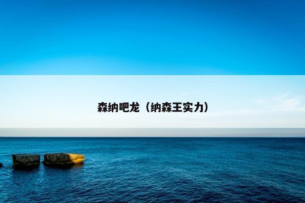森纳吧龙（纳森王实力）