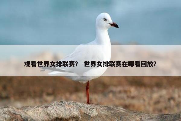 观看世界女排联赛？ 世界女排联赛在哪看回放？