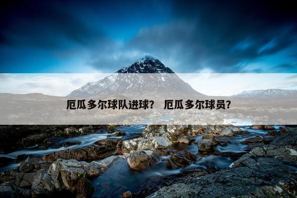厄瓜多尔球队进球？ 厄瓜多尔球员？