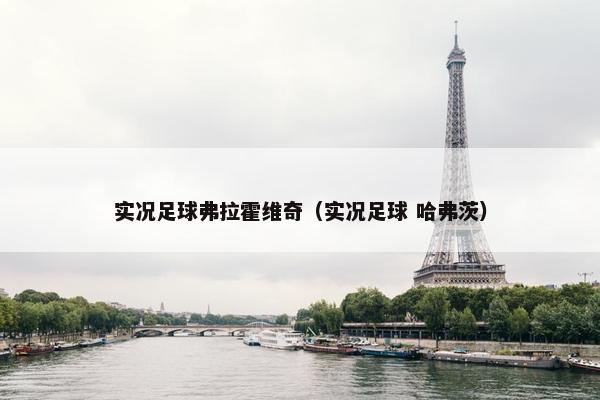 实况足球弗拉霍维奇（实况足球 哈弗茨）