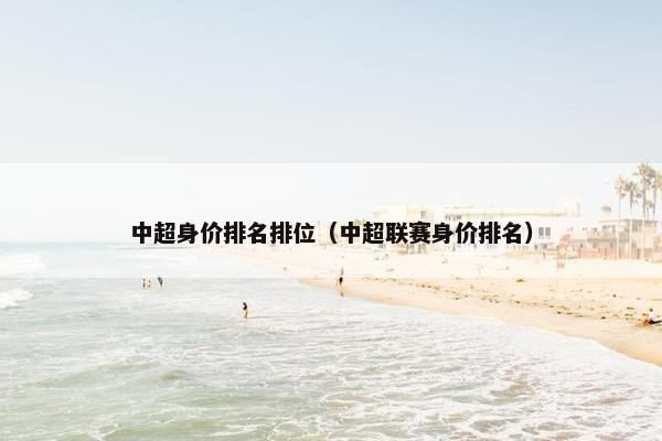 中超身价排名排位（中超联赛身价排名）