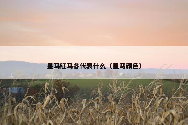 皇马红马各代表什么（皇马颜色）