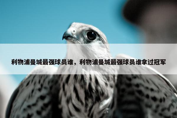 利物浦曼城最强球员谁，利物浦曼城最强球员谁拿过冠军