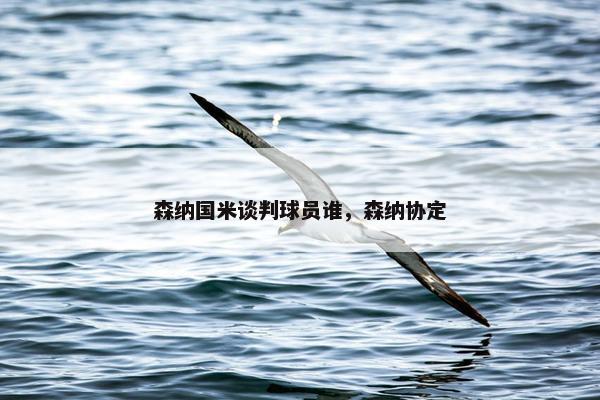 森纳国米谈判球员谁，森纳协定