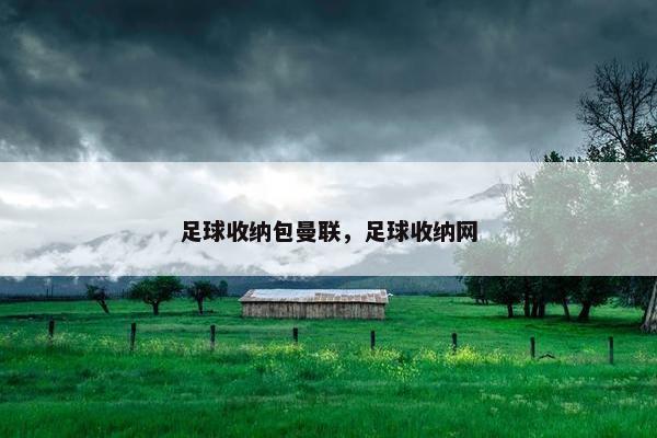 足球收纳包曼联，足球收纳网