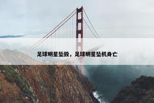 足球明星坠毁，足球明星坠机身亡