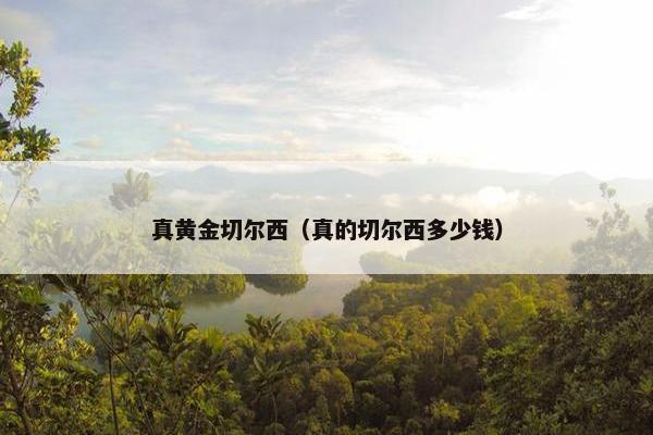 真黄金切尔西（真的切尔西多少钱）
