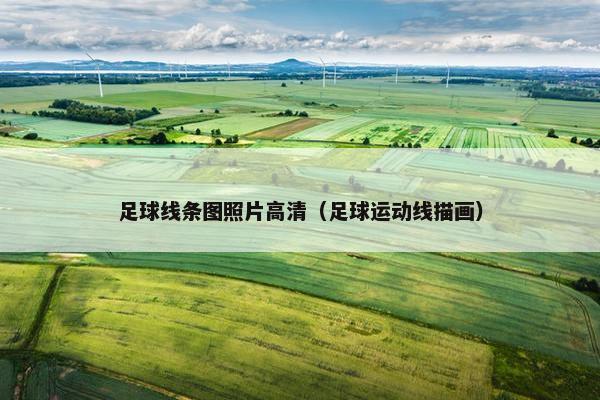 足球线条图照片高清（足球运动线描画）