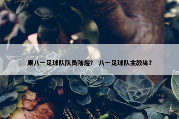 原八一足球队队员陆煜？ 八一足球队主教练？